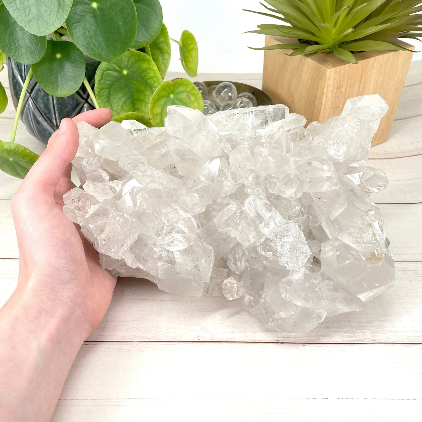 crystal quartz cluster with hand on display for size reference