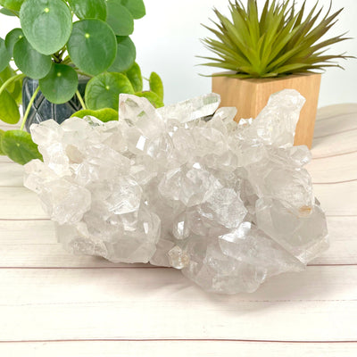 crystal quartz cluster propped up in front of backdrop for details