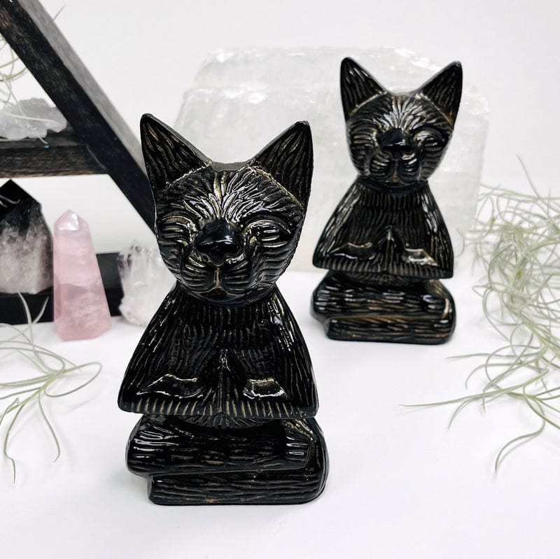 black cat with gold accents buddha statues displayed as home decor 