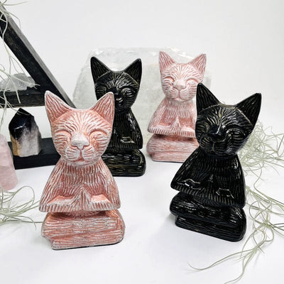 multiple buddha cats displayed to show the differences in the colors 