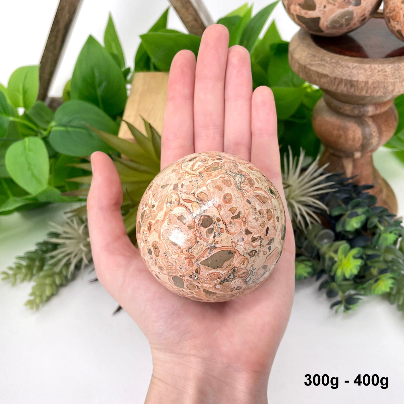 one 300g - 400g leopard skin rhyolite sphere in hand in front of backdrop for size reference