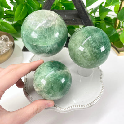 three difference green fluorite sphere weights on display with one in hand for size reference