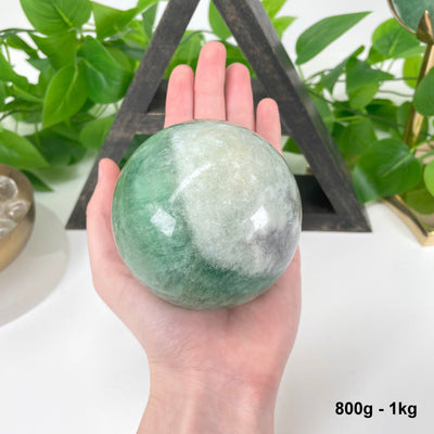 one 800g - 1kg green fluorite sphere in hand for size reference
