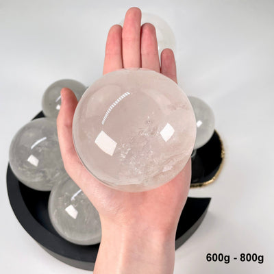 one 600g - 800g crystal quartz polished sphere in hand for size reference