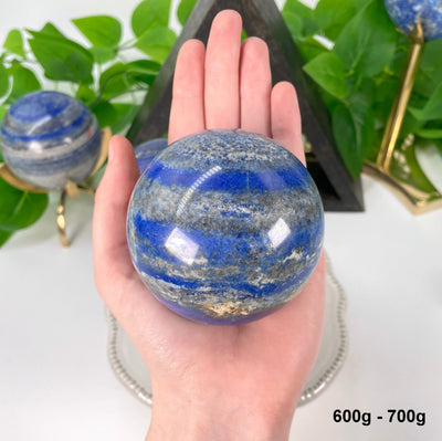 one 600g - 700g lapis lazuli polished sphere in hand 