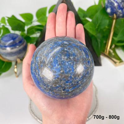 one 700g - 800g lapis lazuli polished sphere in hand 