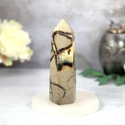 Septarian Polished Tower