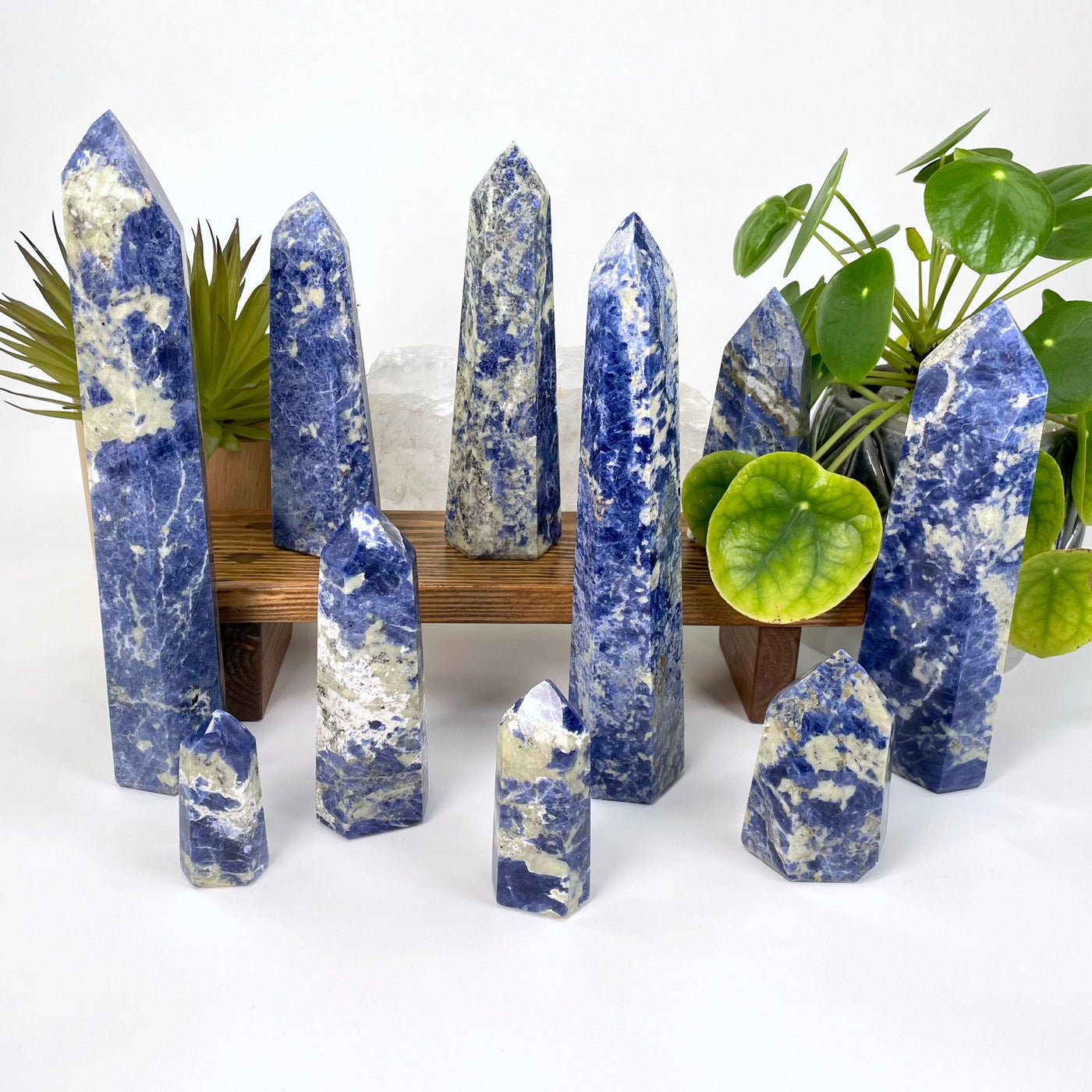 many different sodalite polished point weights on display