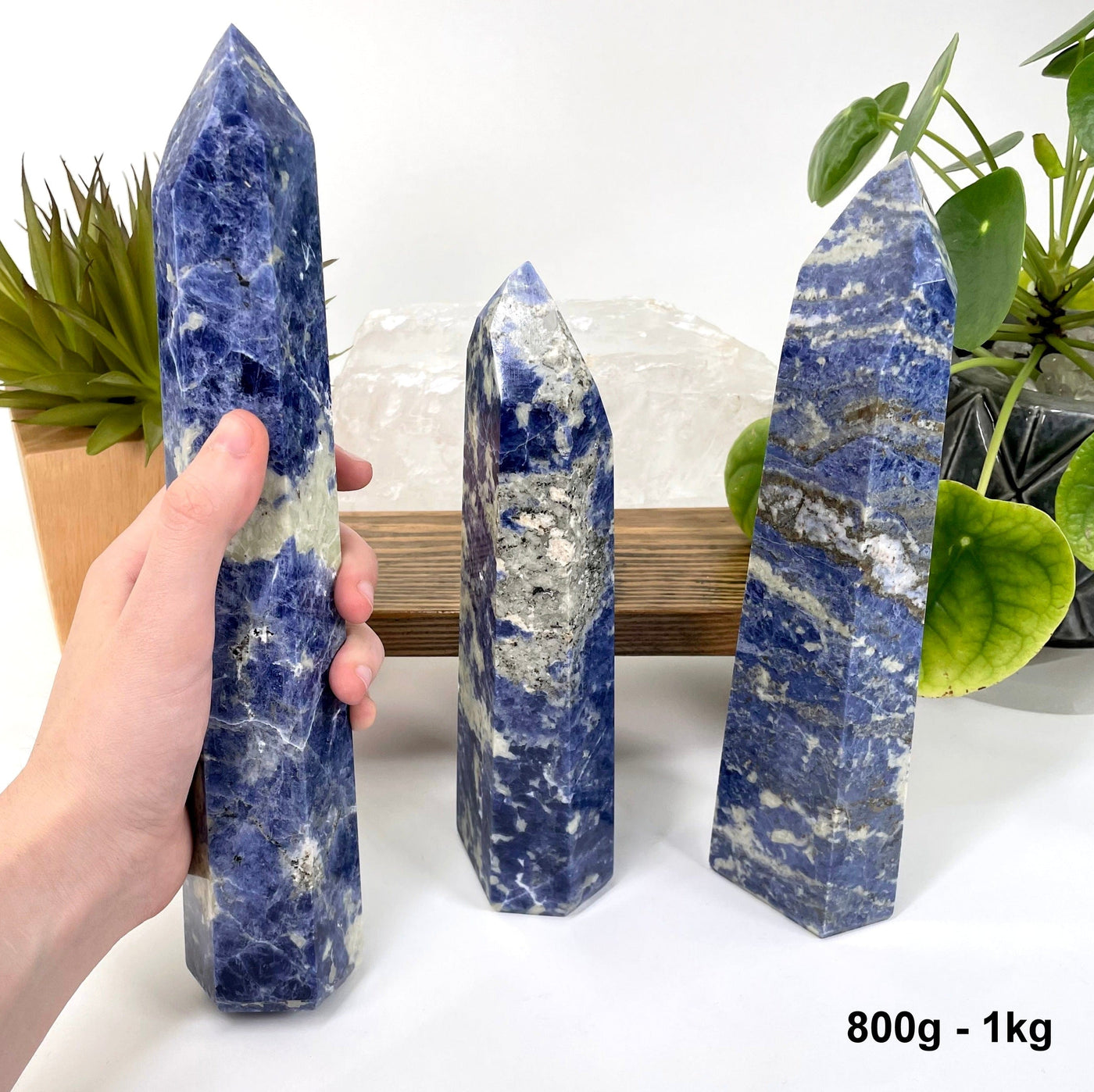 one 800g - 1kg sodalite polished point in hand for size reference with two others on display for possible variations