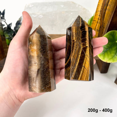 two 200g - 400g tigers eye polished points in hand for size reference and possible variations