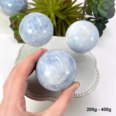 three 200g - 400g blue calcite spheres on display for possible variations with one in hand for size reference