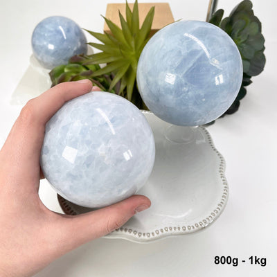 two 800g - 1kg blue calcite spheres on display for possible variations with one in hand for size reference