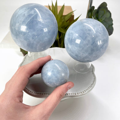 three different blue calcite polished sphere weights on display with one in hand for size reference