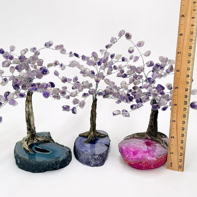 agate trees next to a ruler for size reference 