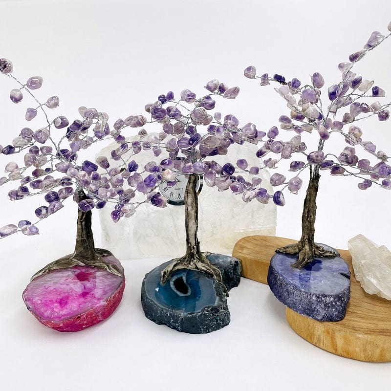 multiple chevron amethyst trees on different colored agate bases displayed to show the differences in color shades and sizes 