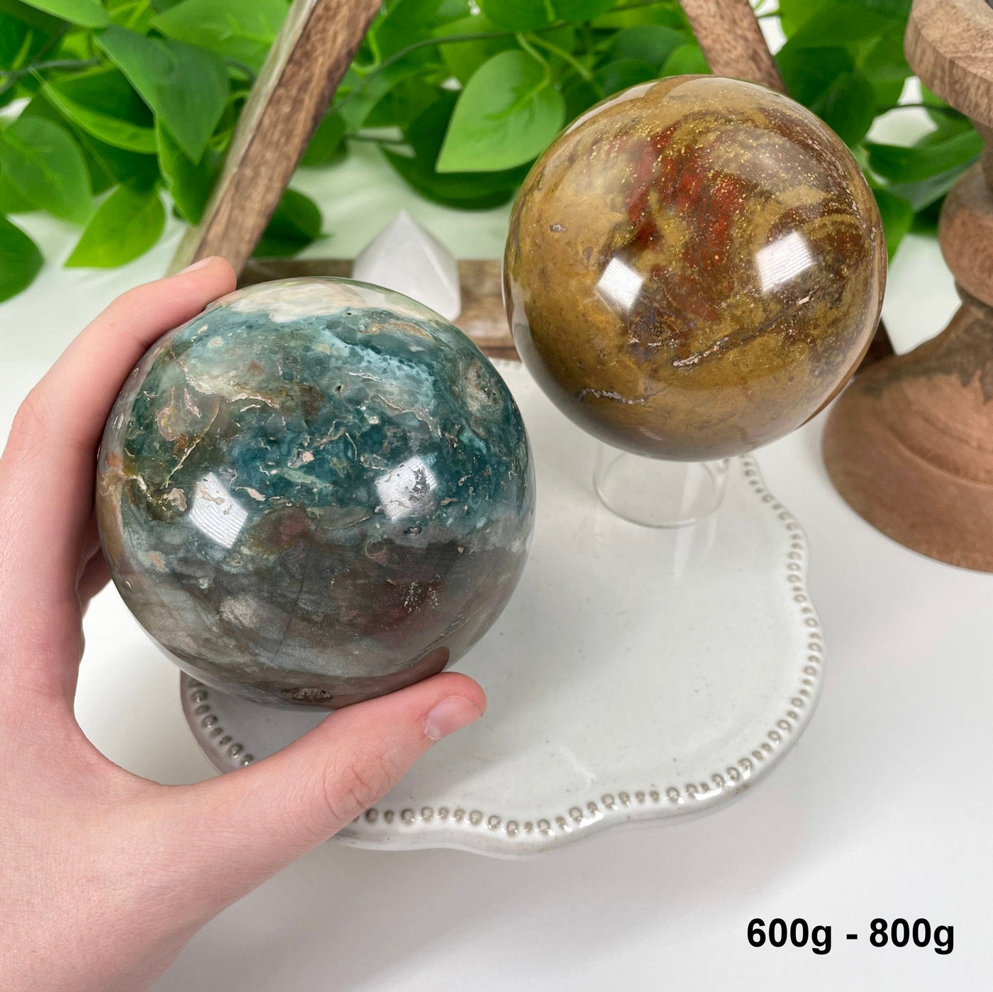 two 600g - 800g ocean jasper polished spheres on display for possible variations with one in hand for size reference