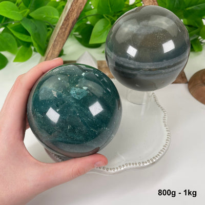 two 800g - 1kg ocean jasper polished spheres on display for possible variations with one in hand for size reference