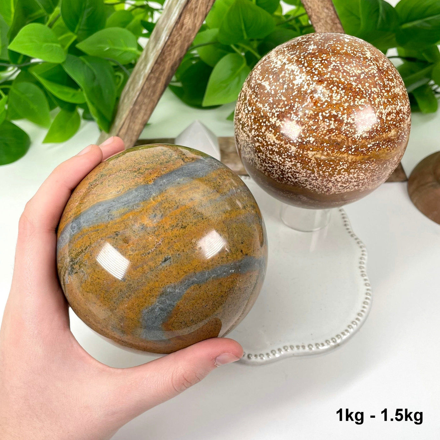 two 1kg - 1.5 ocean jasper polished spheres on display for possible variations with one in hand for size reference