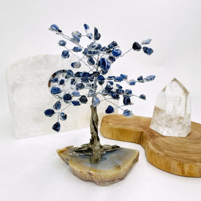 close up of the sodalite tree with a natural agate base
