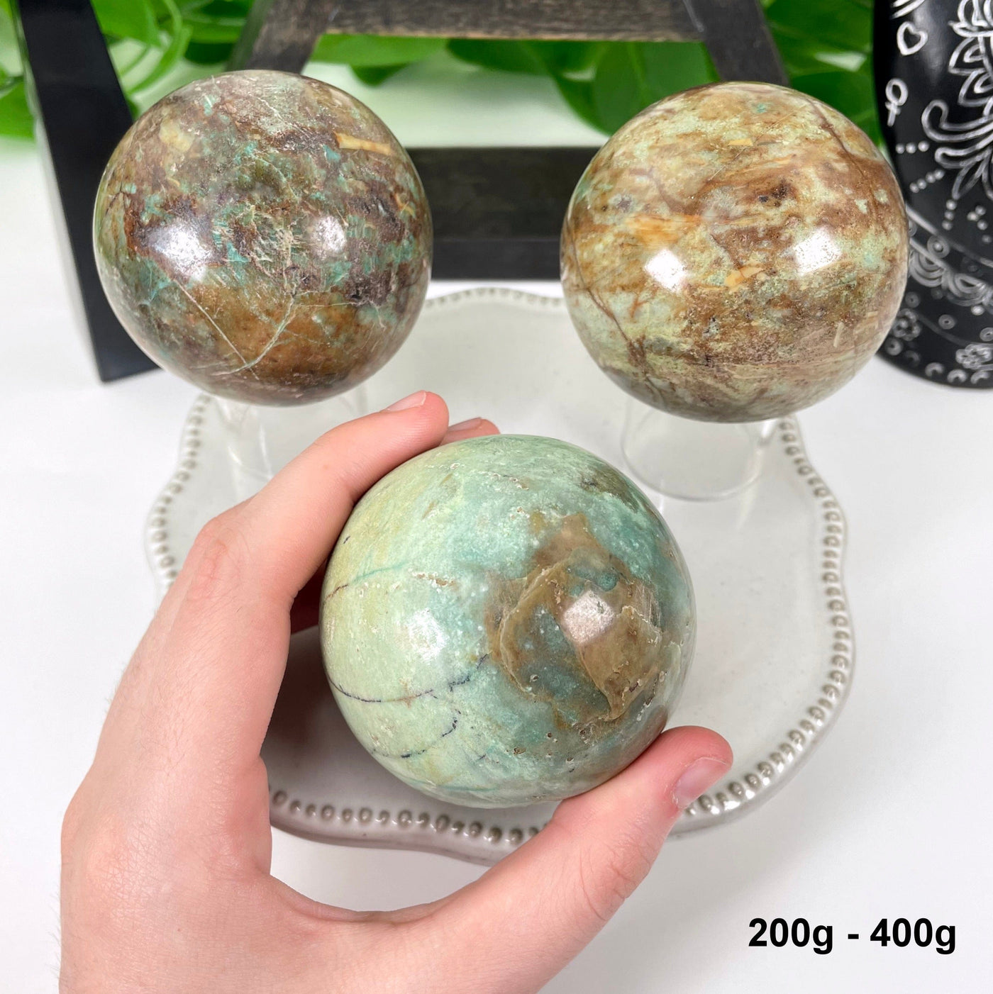 three 200g - 400g chrysoprase polished spheres on display for possible variations with one in hand for size reference