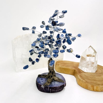 close up of the sodalite tree with a purple agate base