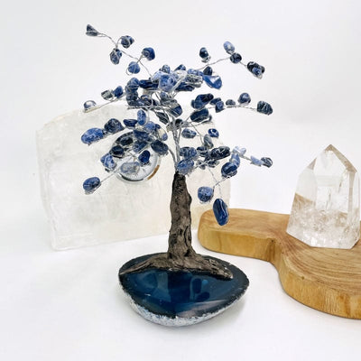 close up of the sodalite tree with a blue agate base