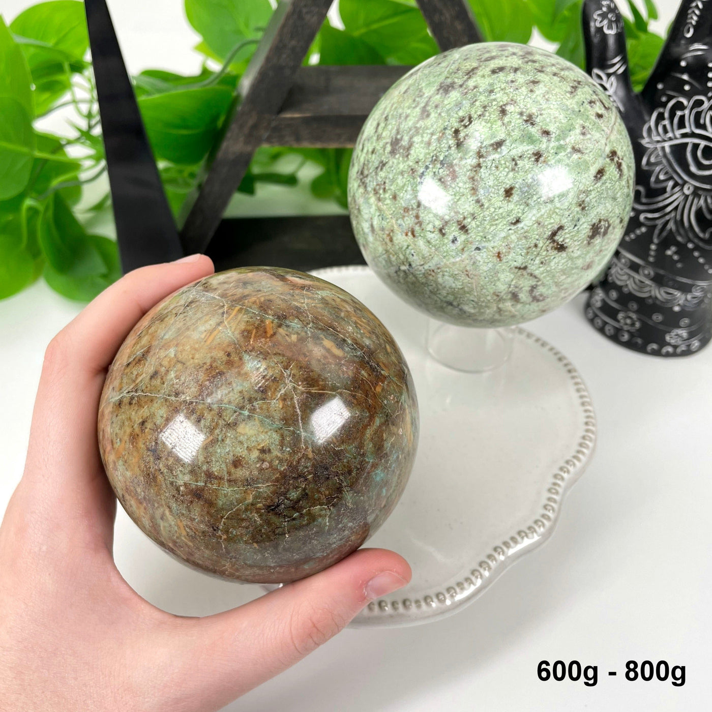 two 600g - 800g chrysoprase polished spheres on display for possible variations with one in hand for size reference
