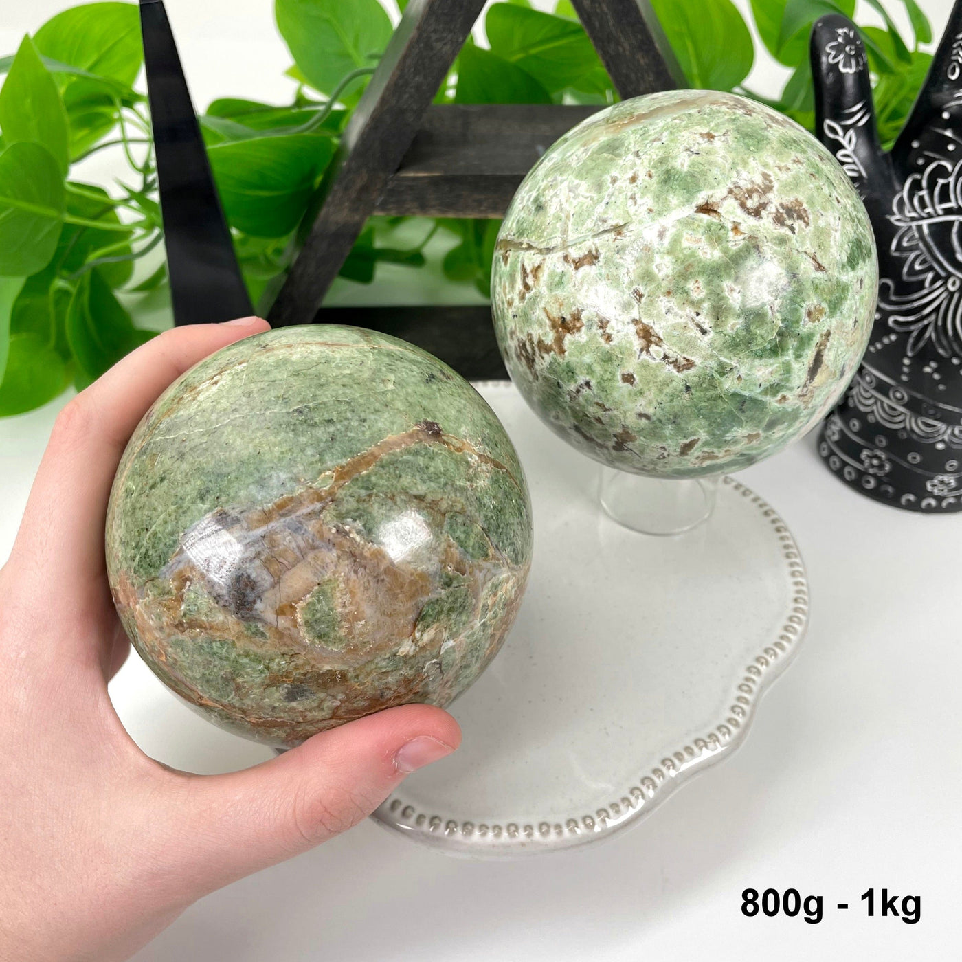 two 800g - 1kg chrysoprase polished spheres on display for possible variations with one in hand for size reference