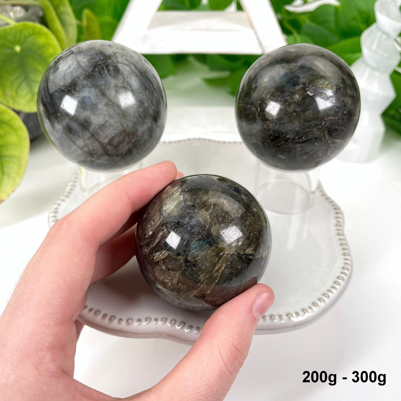 three 200g - 300g labradorite polished spheres on display for possible variations with one in hand for size reference