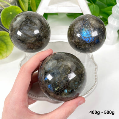 three 400g - 500g labradorite polished spheres on display for possible variations with one in hand for size reference