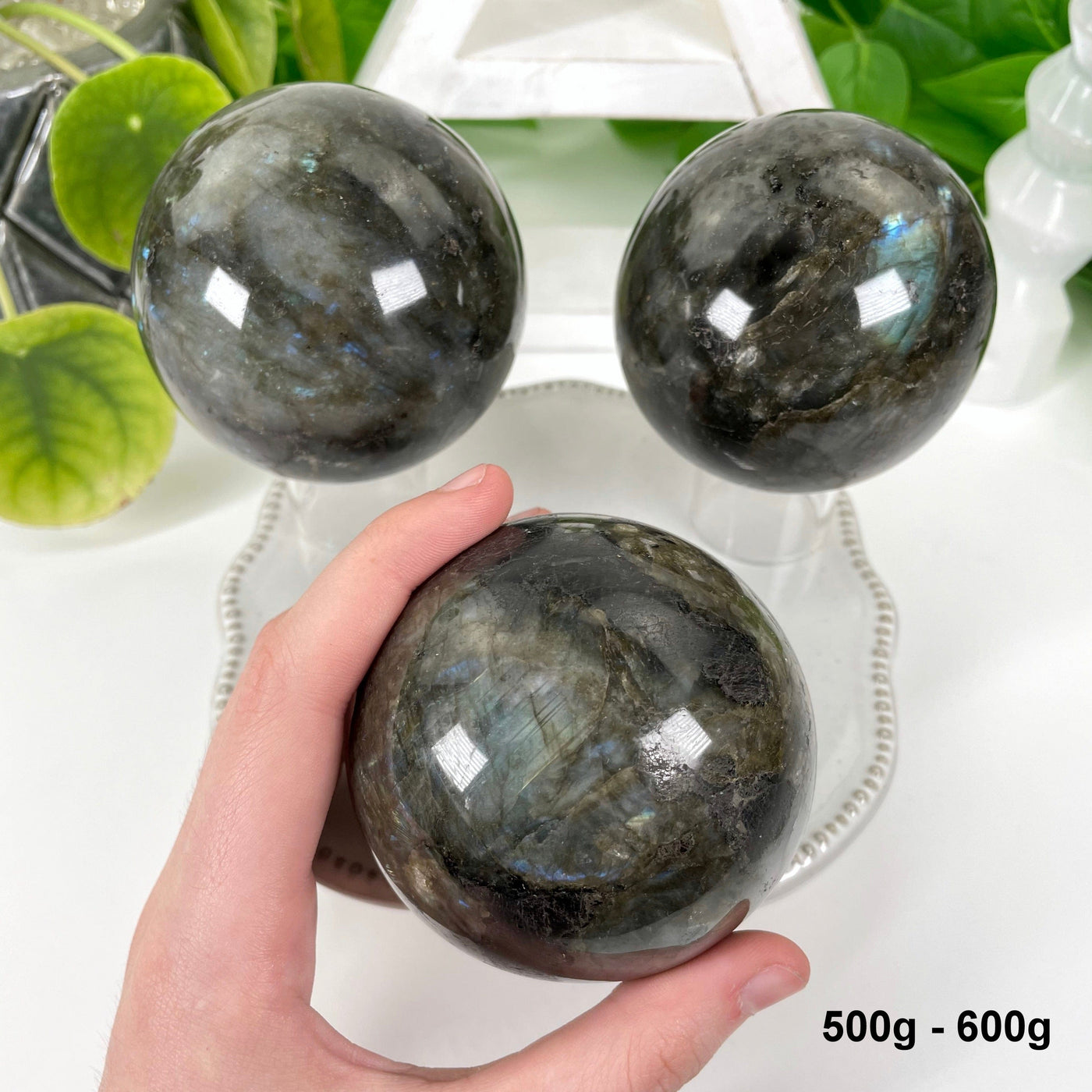 three 500g - 600g labradorite polished spheres on display for possible variations with one in hand for size reference
