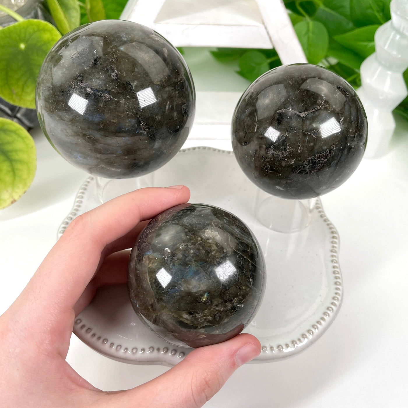 three different labradorite polished sphere weights on display in front of backdrop for size comparison with one in hand