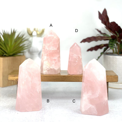 All 4 You Choose Rose Quartz Semi Polished Point Tower