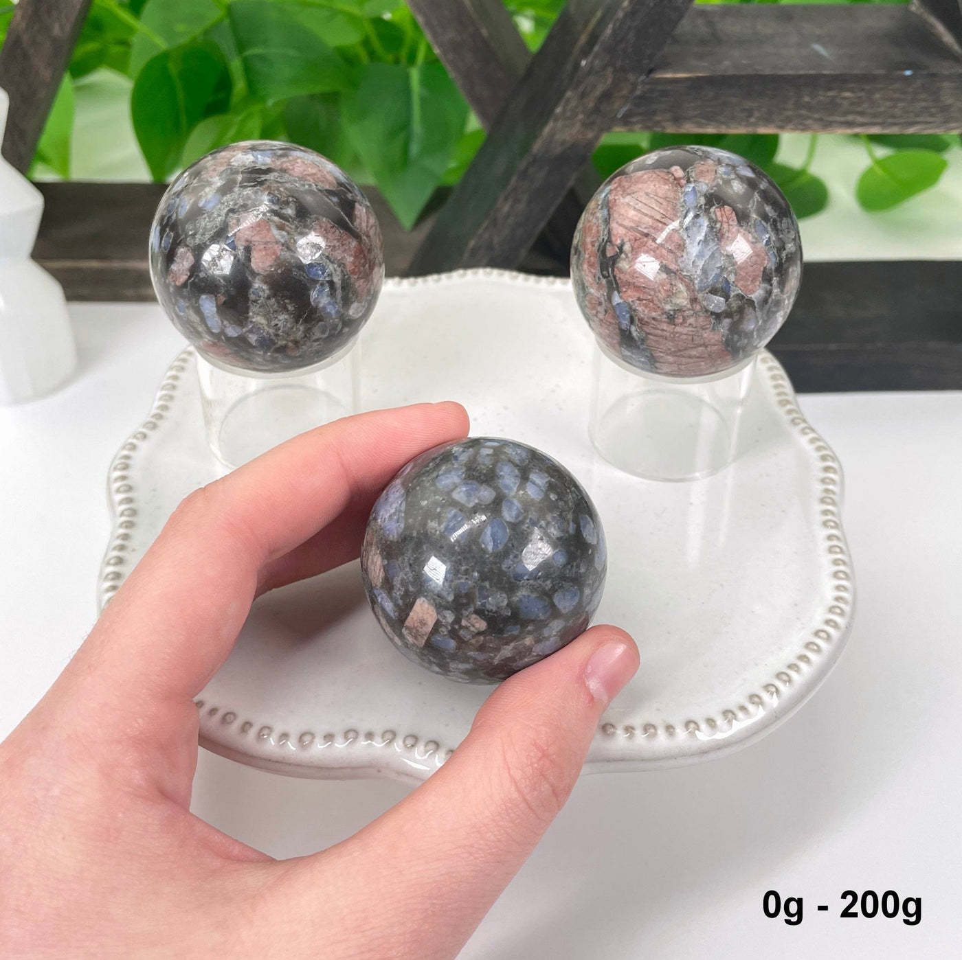 three 0g - 200g rhyolite polished spheres on display in front of backdrop for possible variations with one in hand for size reference