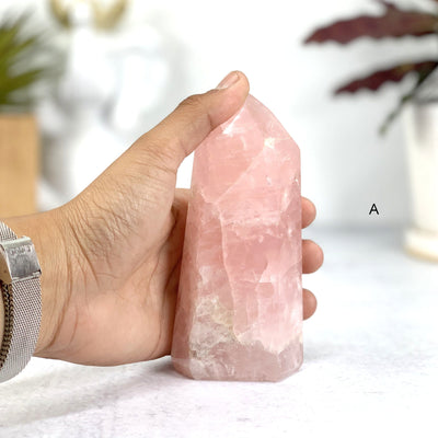 Hand comparing size to Option A - Rose Quartz Polished Points