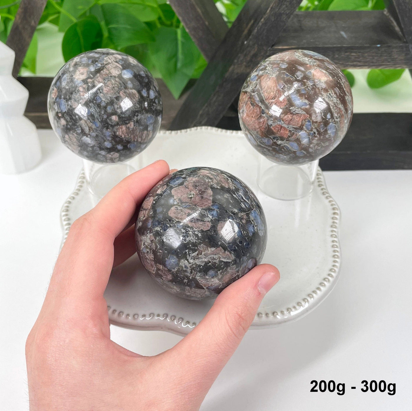 three 200g - 300g rhyolite polished spheres on display in front of backdrop for possible variations with one in hand for size reference
