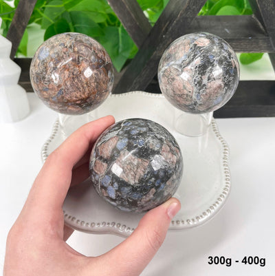 three 300g - 400g rhyolite polished spheres on display in front of backdrop for possible variations with one in hand for size reference