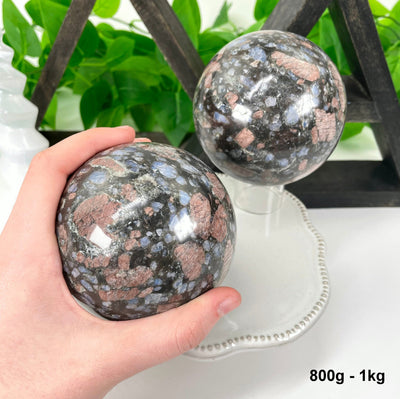 two 800g - 1kg rhyolite polished spheres on display in front of backdrop for possible variations with one in hand for size reference