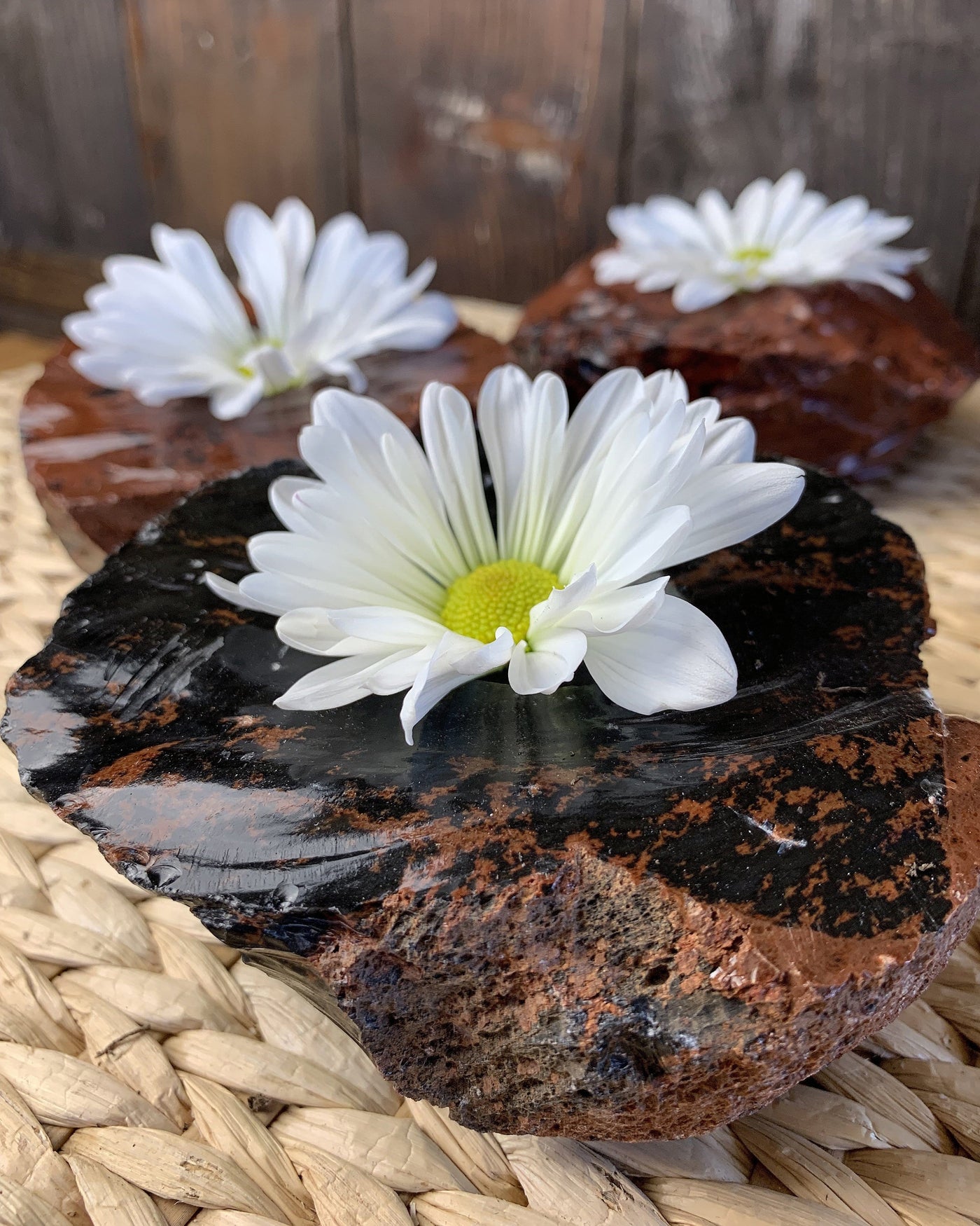 3 coffee obsidian candle holders with daisies sticking out of them