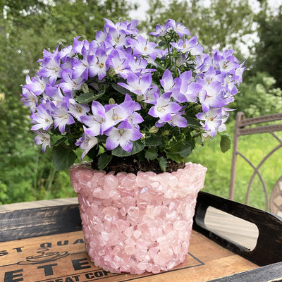 tumbled stone flower pot available in rose quartz 