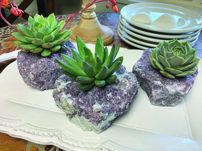 3 lepidolite candle holders with succulents sticking out of the top of them