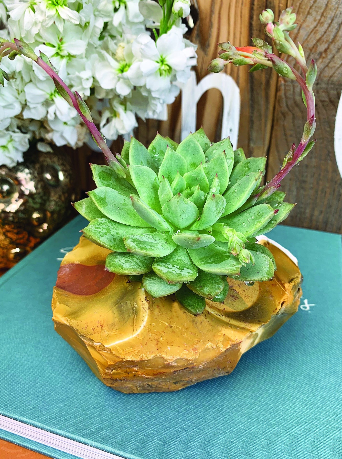 a tigere eye candle holder with a succulent sticking out the top of it on a teal book