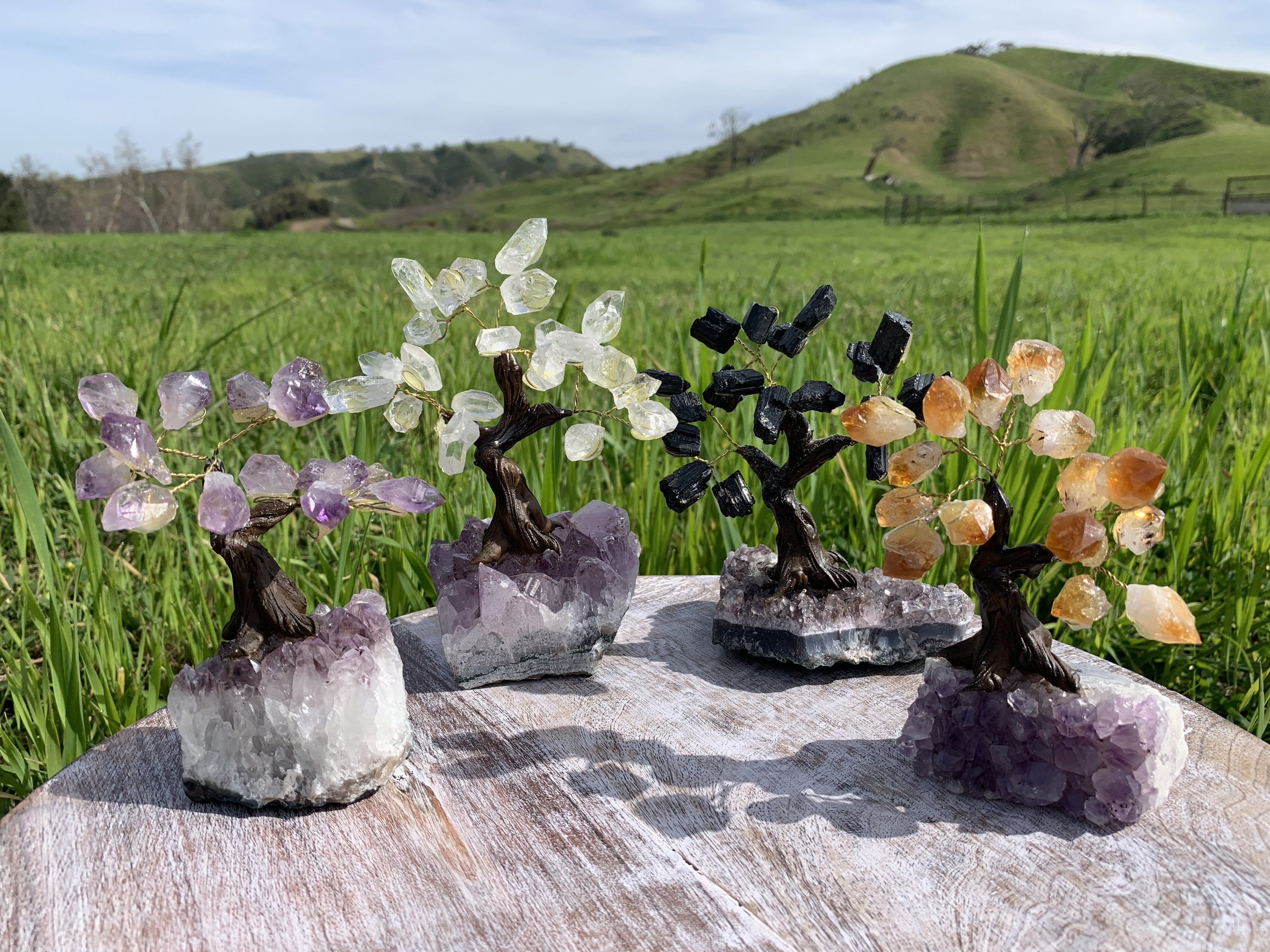 Crystal Tree on Amethyst Base (Choose Your Gemstone) – Rock Paradise