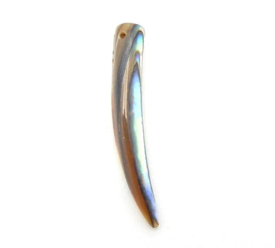 Abalone Horn Bead close up.