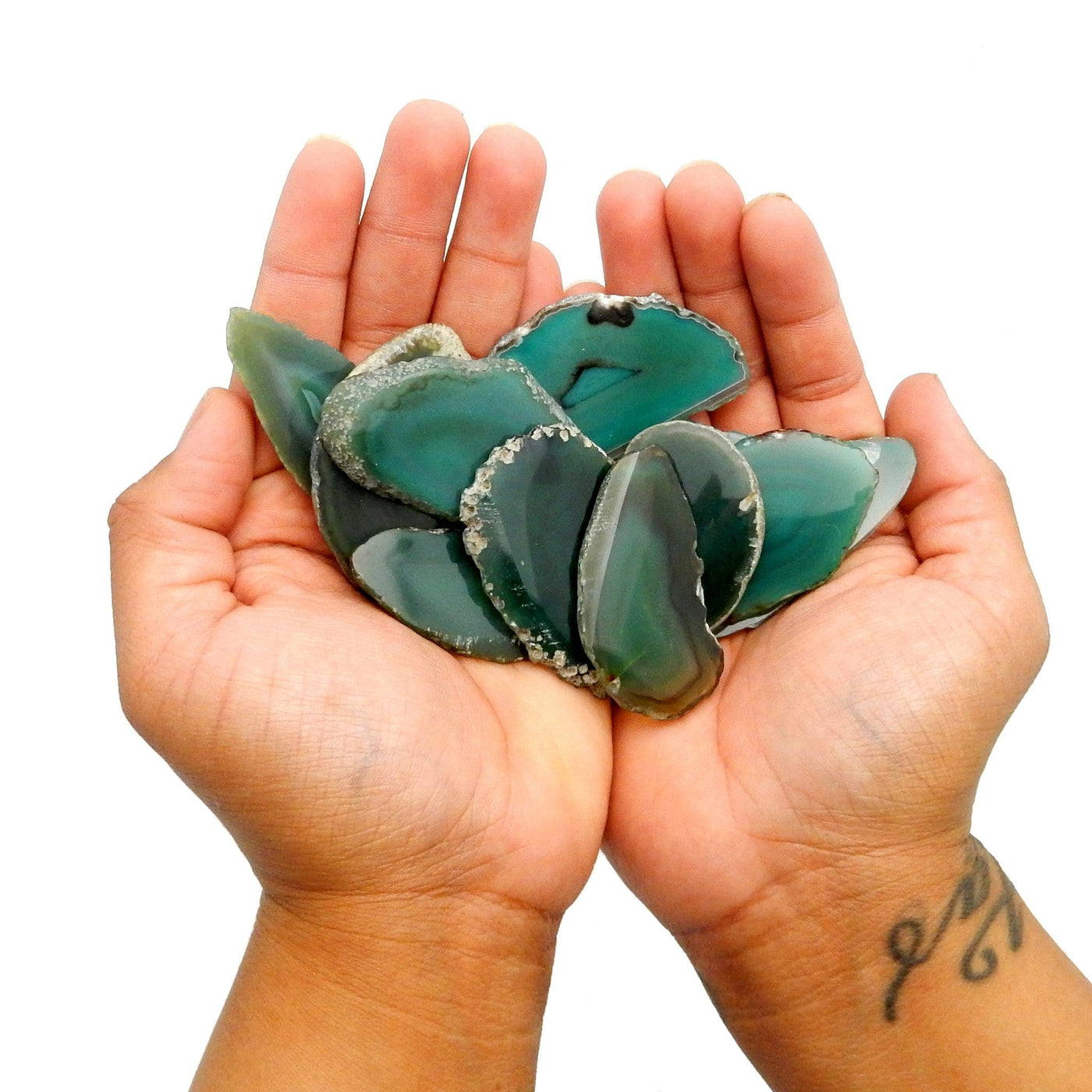 Picture of multiple green agate slices in hand for size reference.