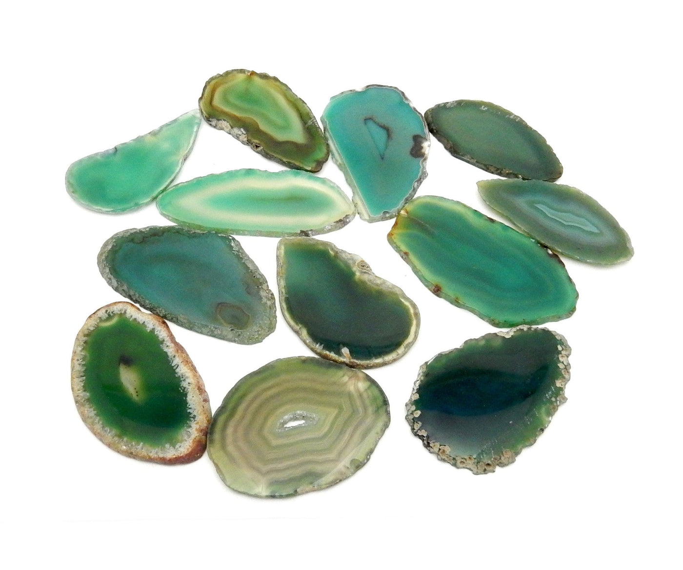 Picture of green agate slices in hand for size reference.