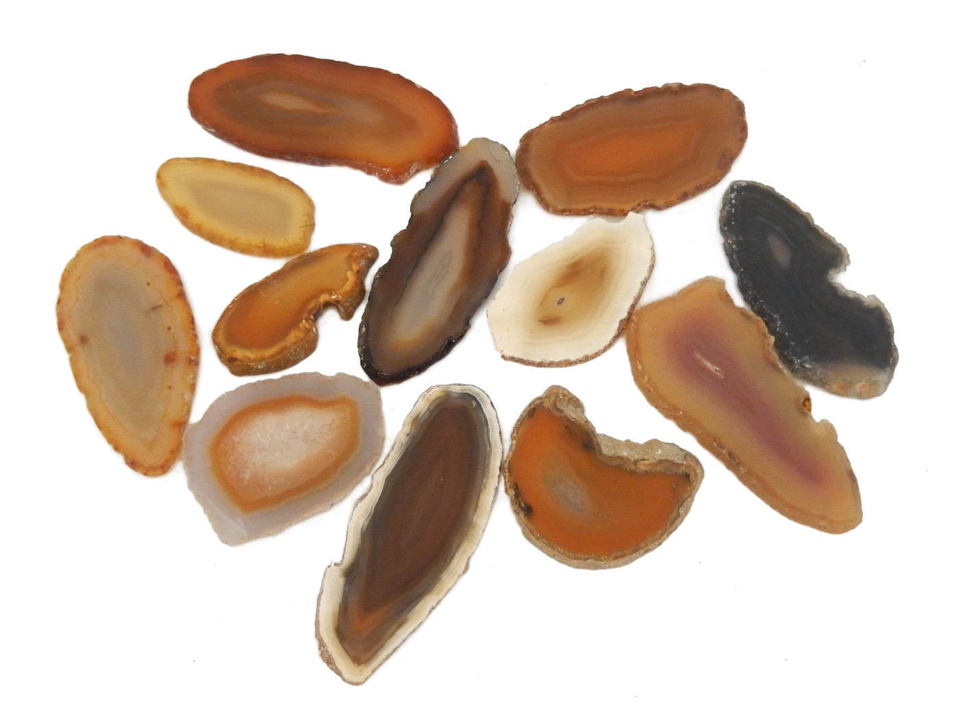 Picture of agate slices, displayed on a white back ground.