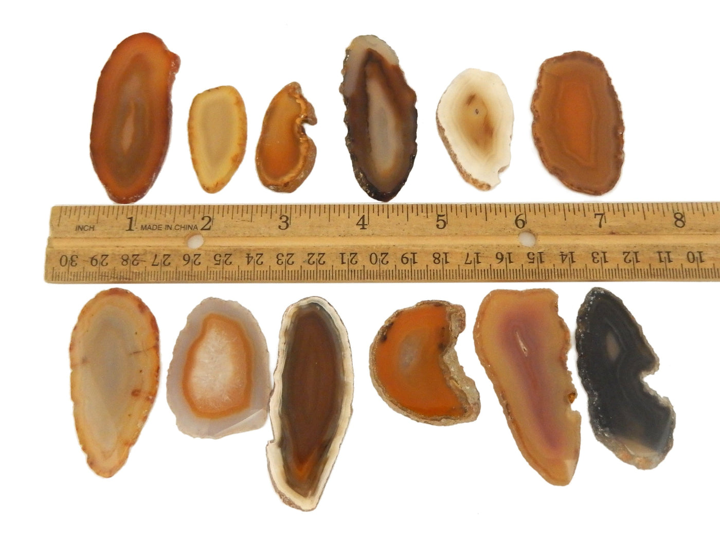 This Picture is showing the agate slices being displayed on a white back ground, next to a ruler for size reference.