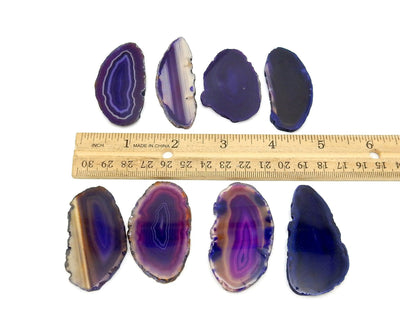 This Picture is showing Purple agate slices being displayed next to ruler for size reference. 