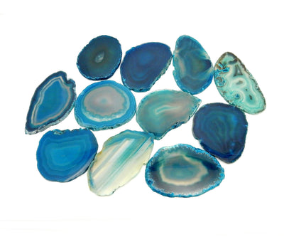Picture of teal agate slices being displayed on a white back ground. 